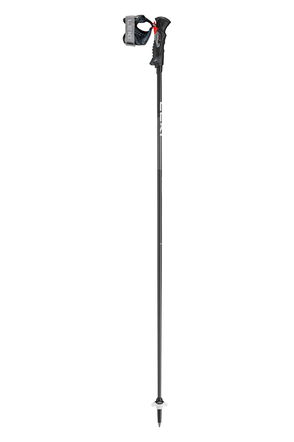 Carbon 14 TR