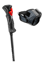 Carbon 14 TR